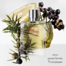 Terre D'hermès Eau Givrée Eau De Parfum - 100ml