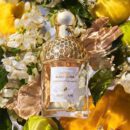 Guerlain Aqua Allegoria Bergamote Calabria Eau De Toilette - 125ml