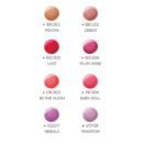 Shiseido Lacquer Lip Gloss
